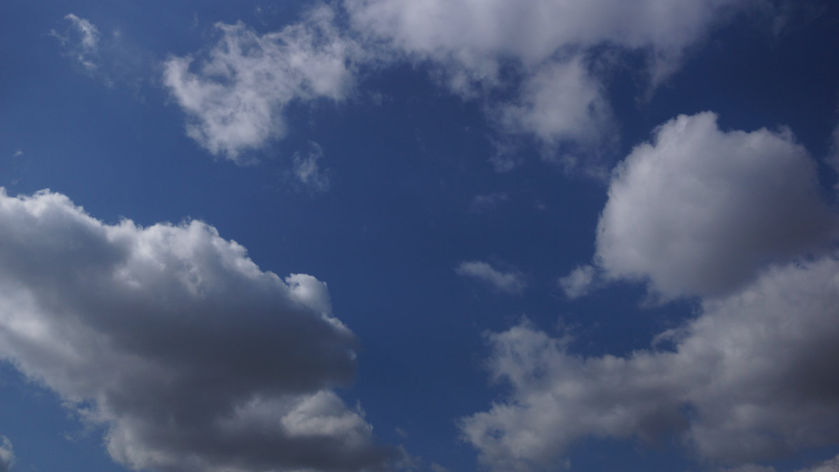 BILDUNGSROMAN cloud artwork