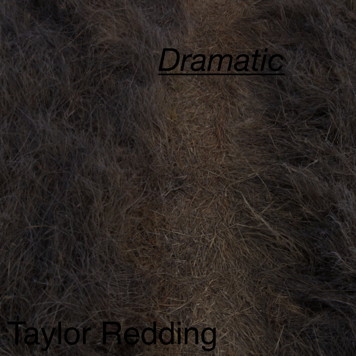 Dramatic album cover: a path through tangled dry grass